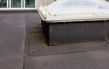 disadvantages of Ardarragh flat roofs