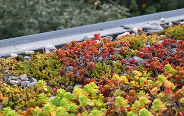 the cost of Ardarragh green roof installation