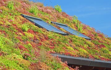 Ardarragh living roof systems